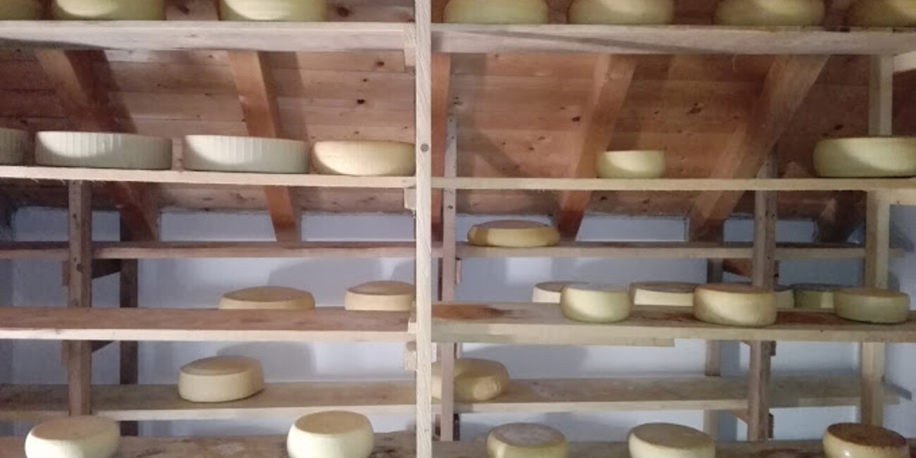 Malga Piovernetta #2