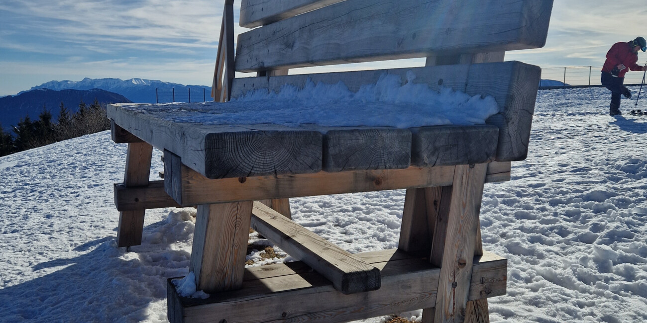 Giant Bench - Monte Bondone #2