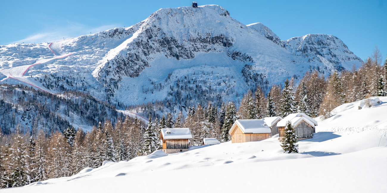 Col Margherita - San Pellegrino Pass viewpoint #5