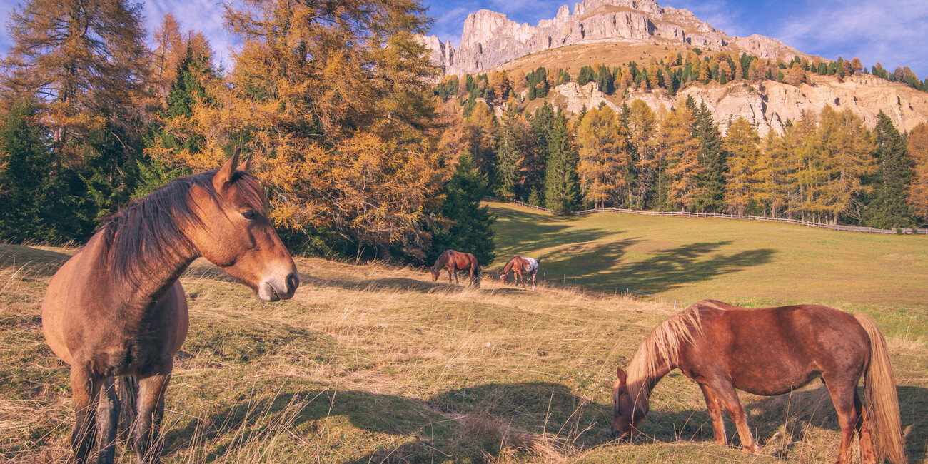Costalunga Pass - Paolina viewpoint #9