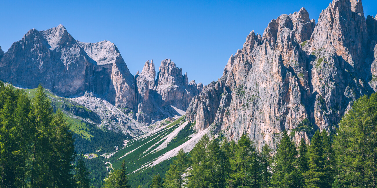 Ciampedie - Catinaccio viewpoint #11