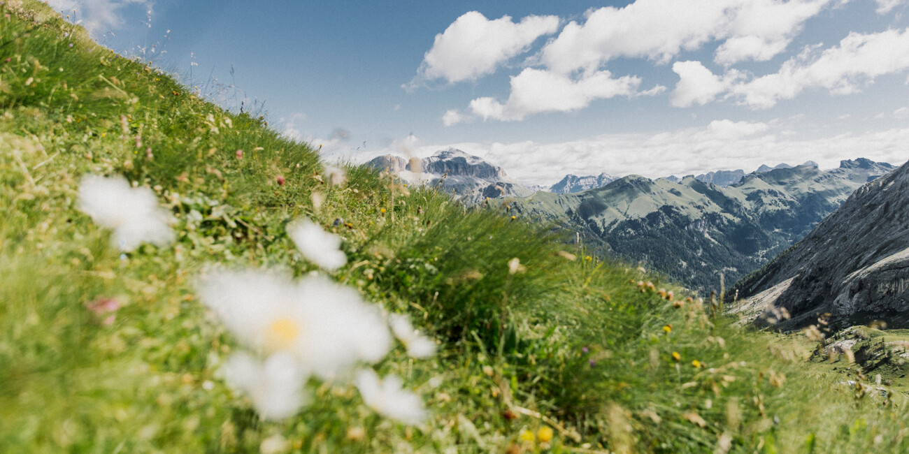 Ciampac viewpoint #5