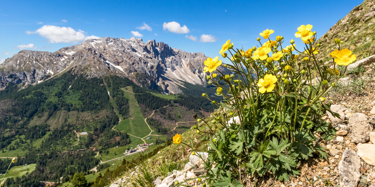 Costalunga Pass - Paolina viewpoint #7