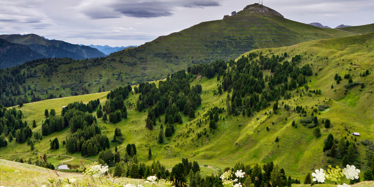 Col Rodella viewpoint #8