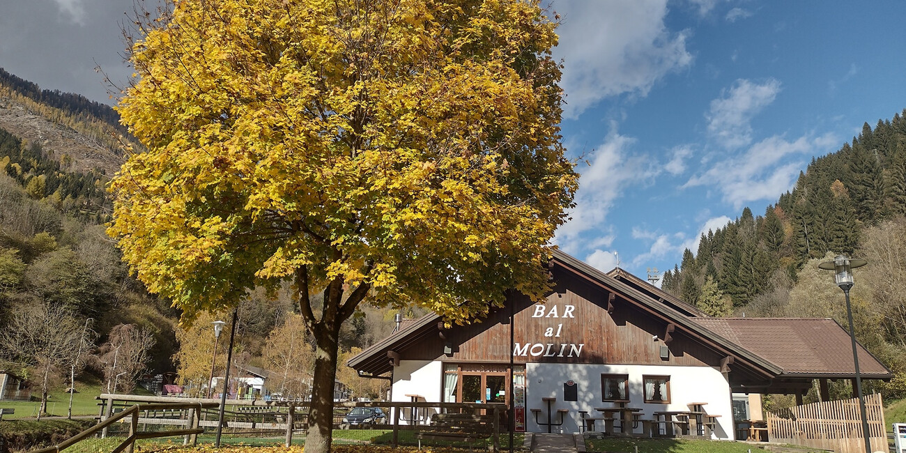 Bicigrill al Molin #3