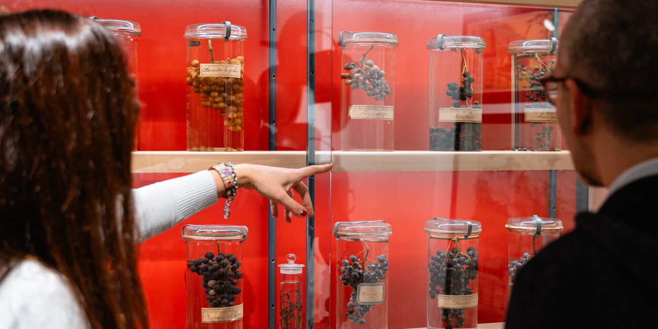 METS - Trentino Ethnographic Museum #3