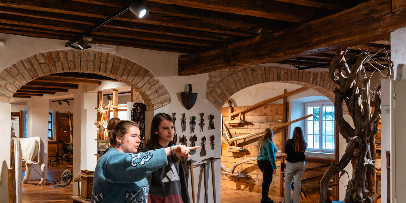 METS - Trentino Ethnographic Museum #6