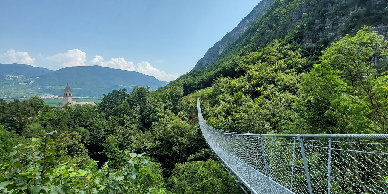 Mezzolombardo Suspension bridge #5