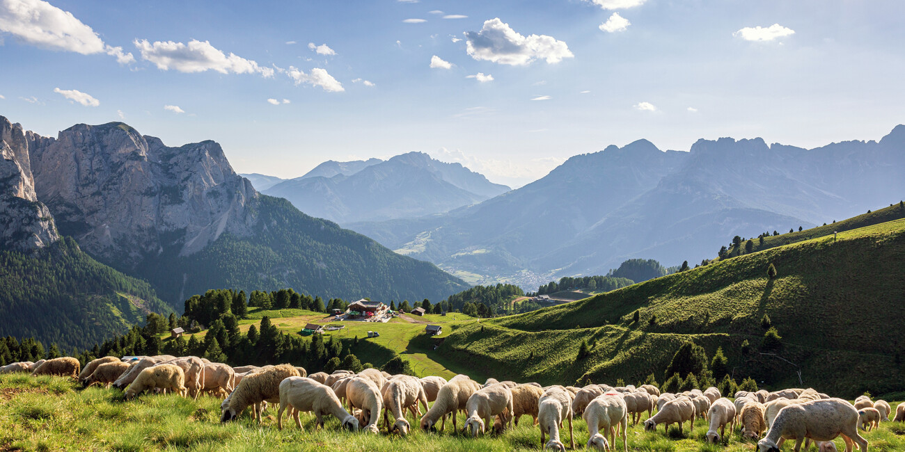 Col de Valvacin - Buffaure Aussichtspunkt #1
