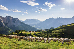Col de Valvacin - Buffaure viewpoint