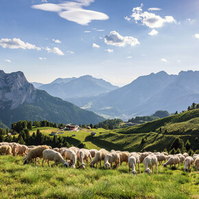 Col de Valvacin - Buffaure viewpoint