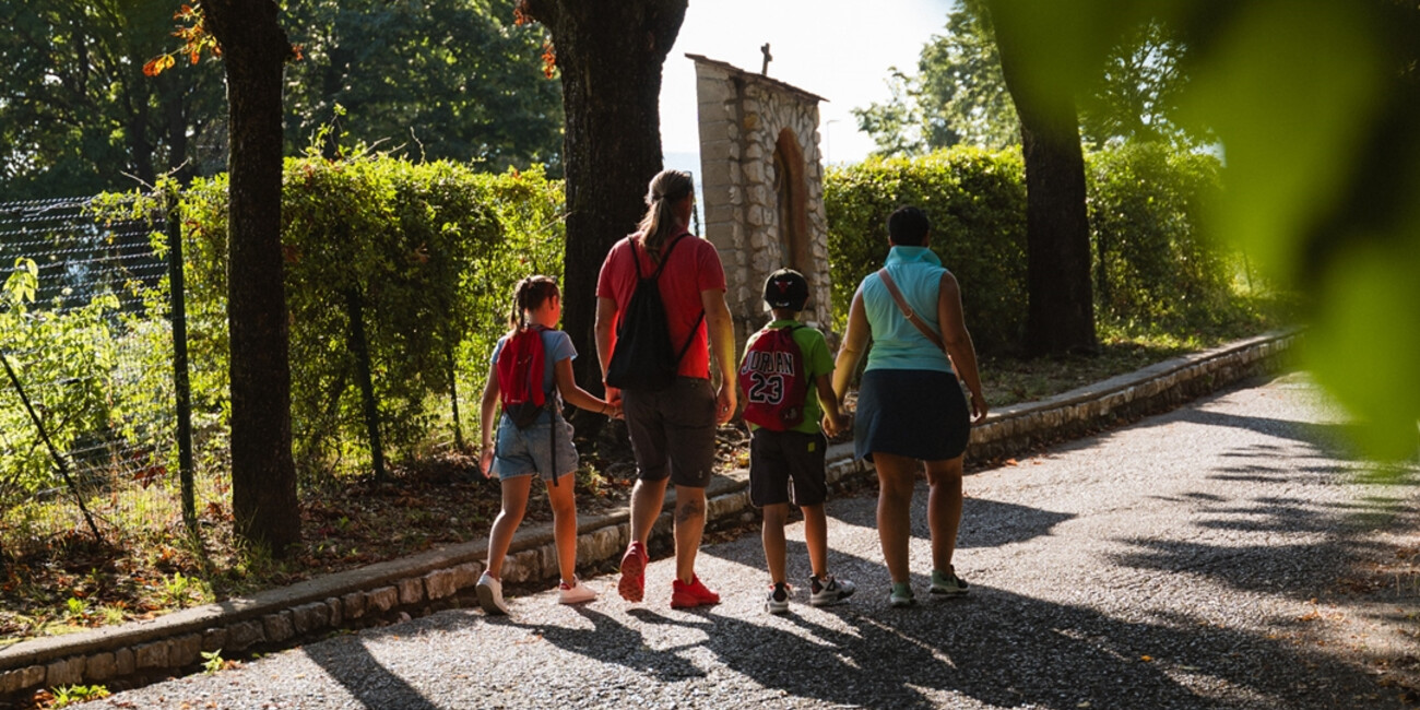 Hängebrücke Mezzolombardo #4
