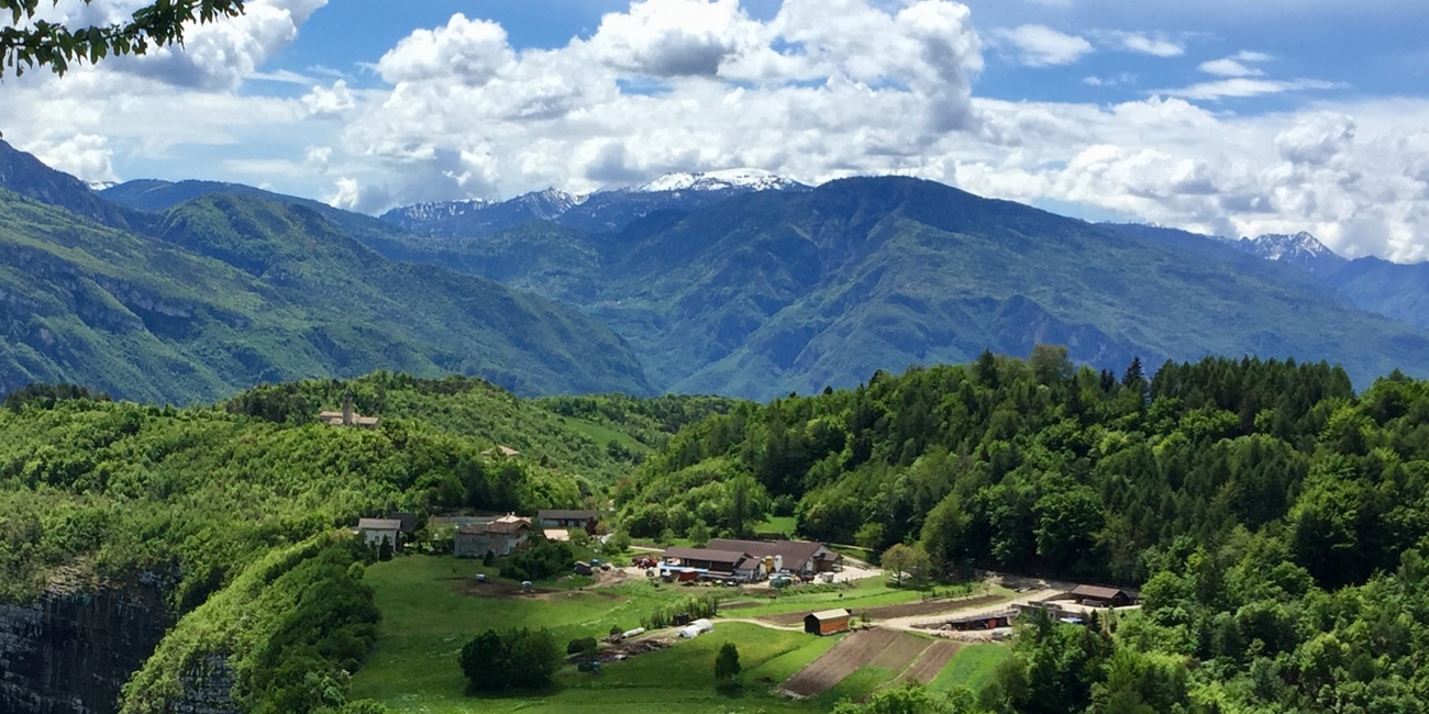 Azienda Agricola Dallapiazza Orlando e Moreno #1