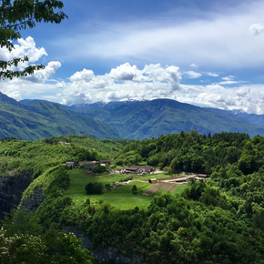 Dallapiazza Orlando and Moreno Farm