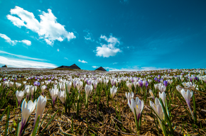 Belvedere Cima Pioverna