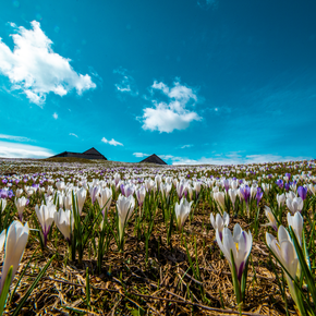 Belvedere Cima Pioverna