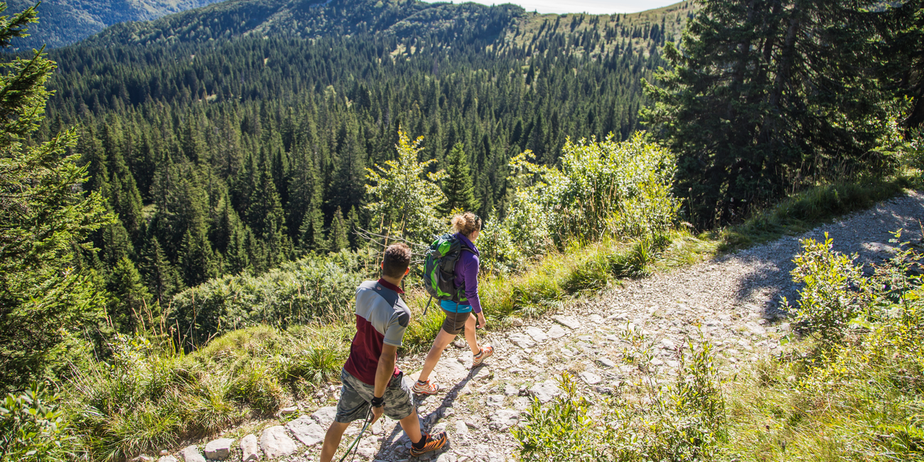 Belvedere Monte Maggio #1