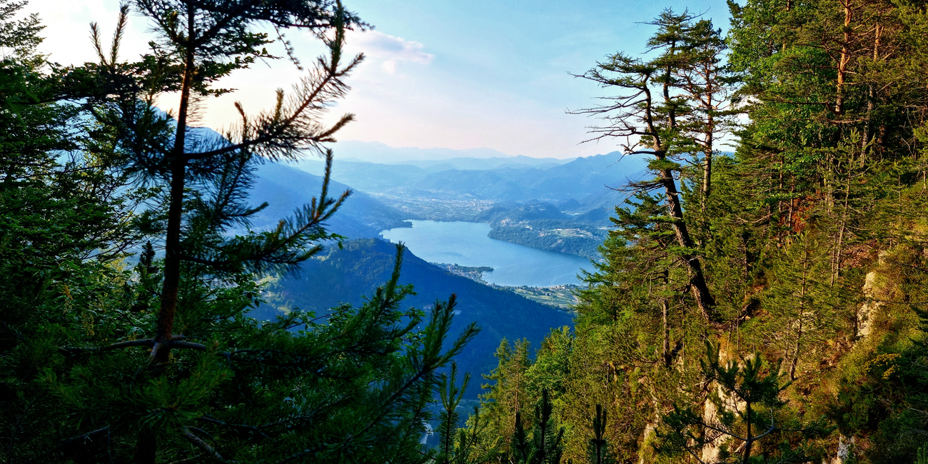 Belvedere Respiro degli Alberi #2