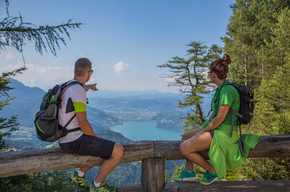 Belvedere Respiro degli Alberi