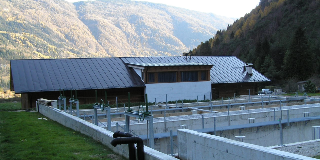 Ichthyogenes Zentrum #1