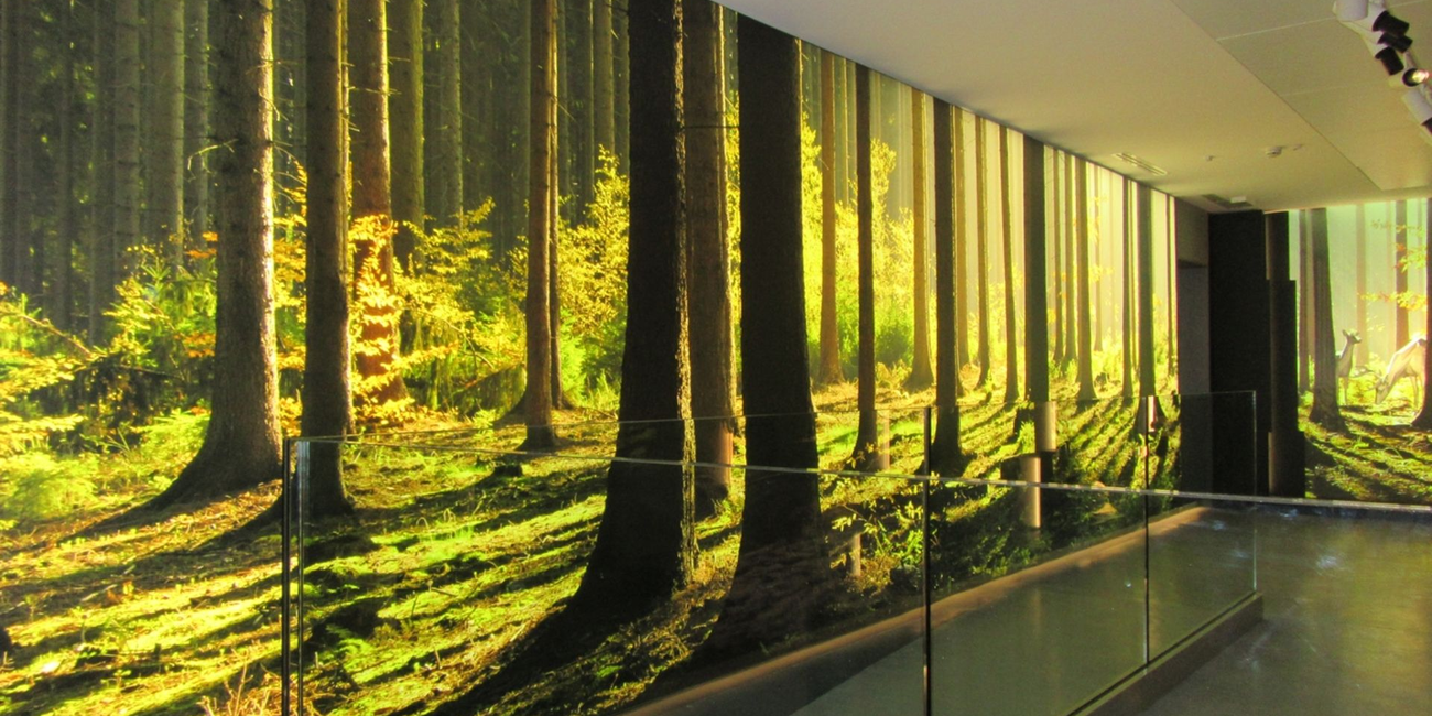 Besucherzentrum Pejo #1