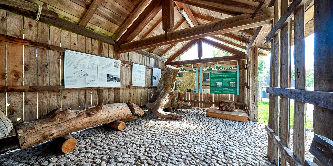 © Paolo Bisti - Luconi 