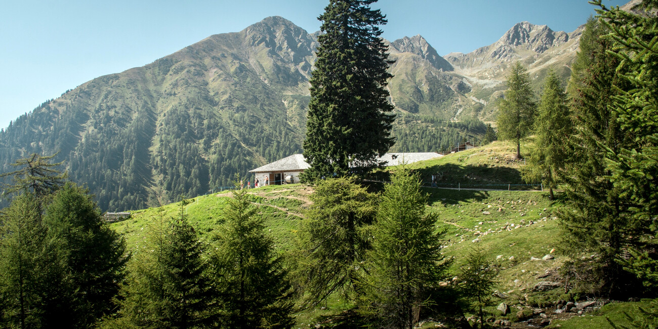 © Elena Marini Silvestri 