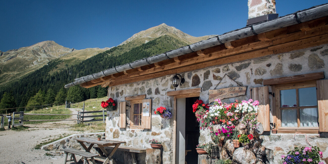 © Elena Marini Silvestri 