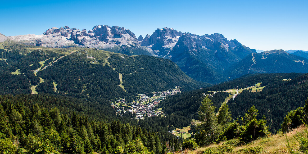 © Paolo Bisti - Luconi 