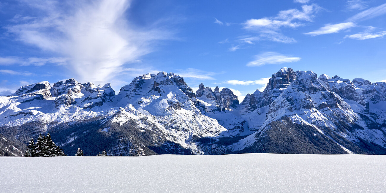 © Paolo Bisti - Luconi 