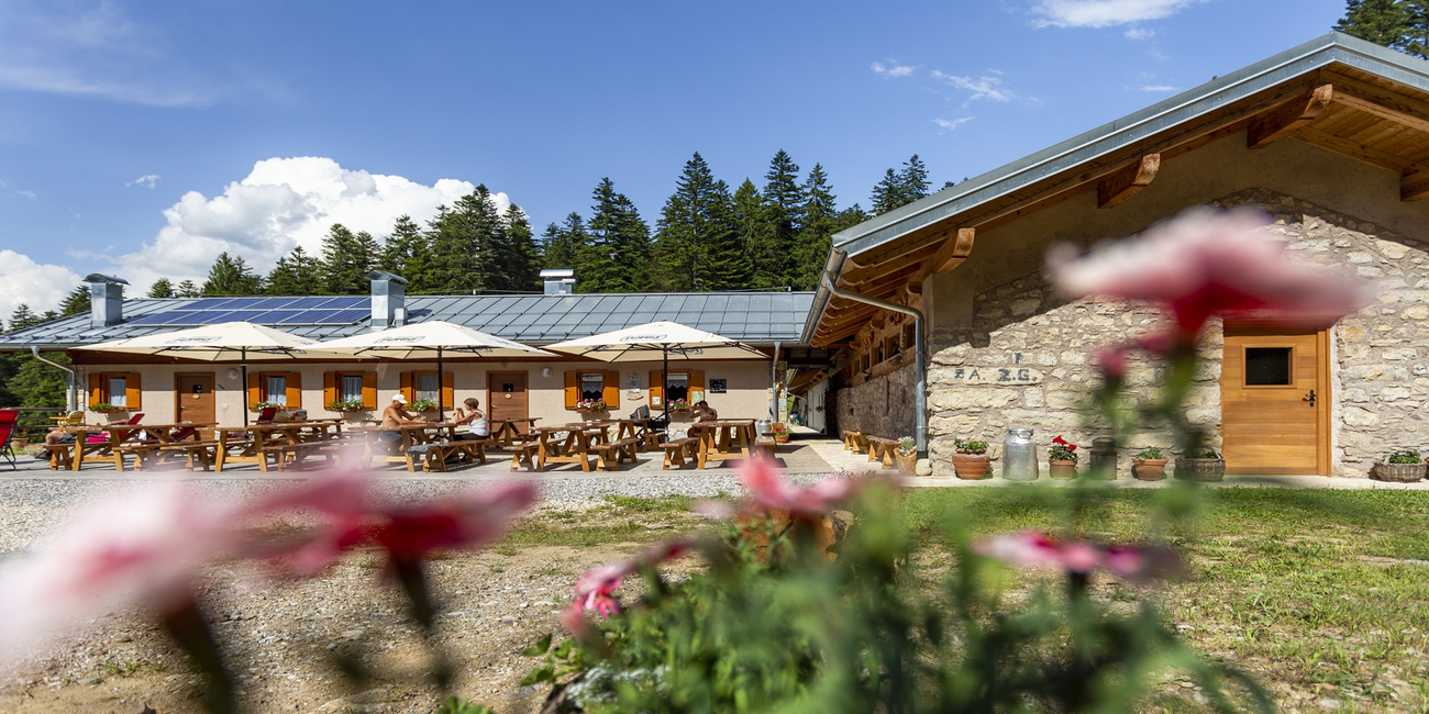 Malga Val dei Brenzi #1