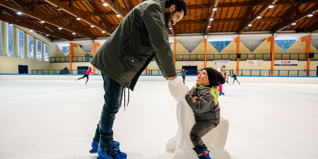 Andalo Life Ice Rink #1