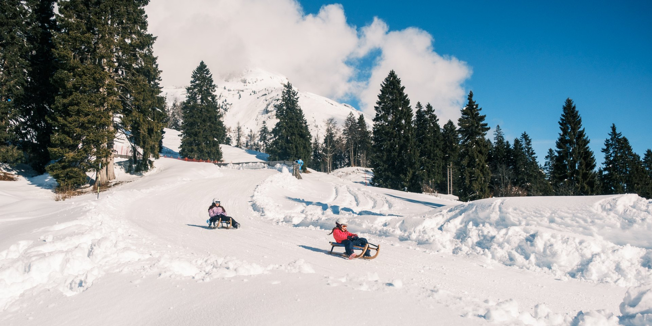 Pradel sledge runs #1