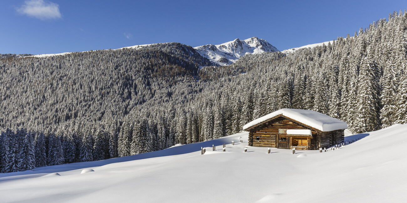 © Alessandro Gruzza 