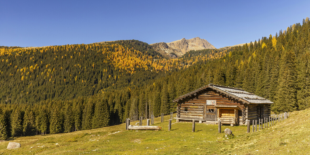 © Alessandro Gruzza 