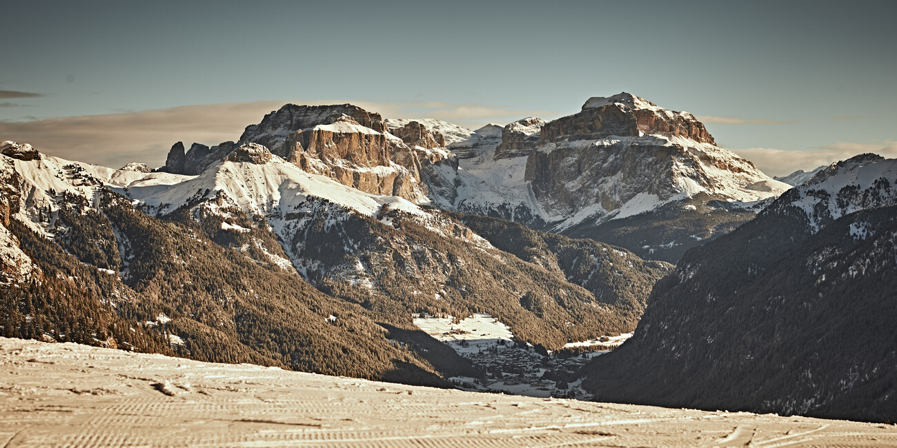 © Daniele Montigiani 