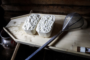 Val di Fiemme - Malga Sadole - Tosèla