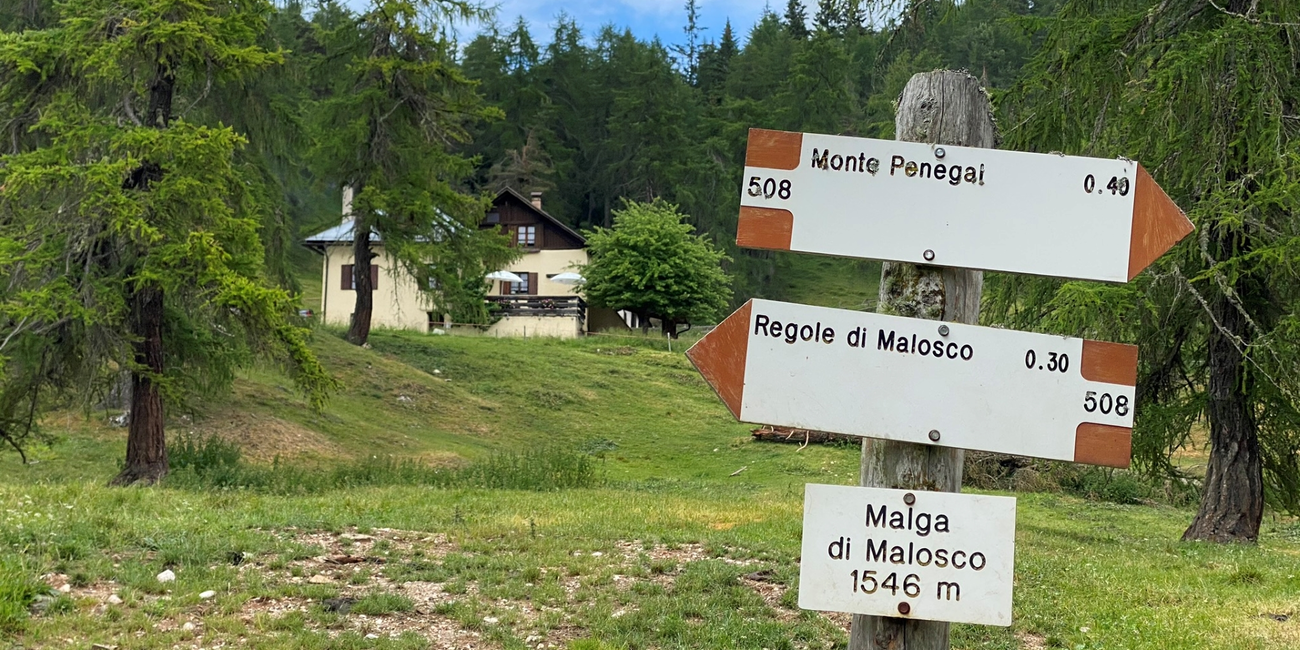 © Stefania Menghini 