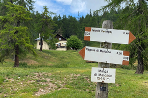 Val di Non - Malga di Malosco