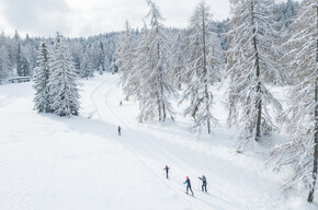 Val di Non - pista regole paradiso