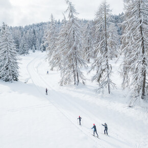 Val di Non - pista regole paradiso