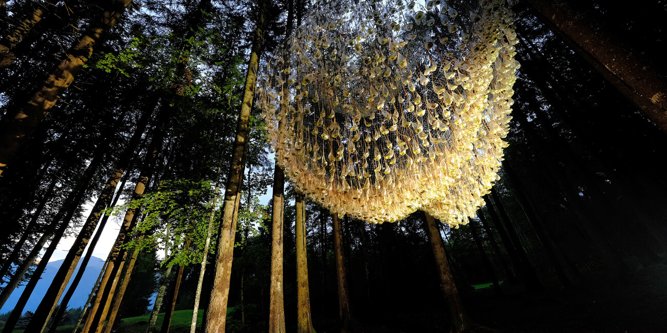 © Pierluigi Orler Dellasega 