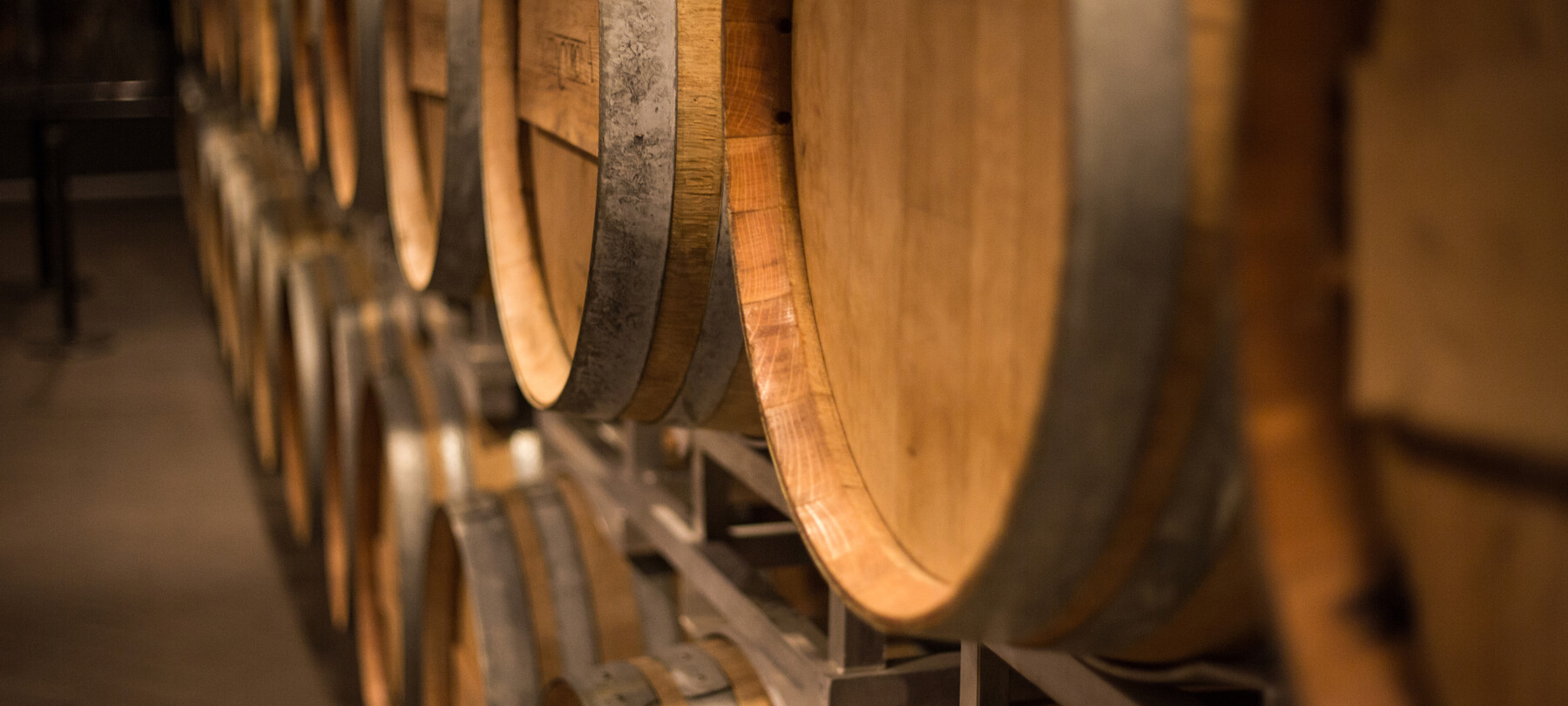 Wine tourism: discovering Teroldego in Piana Rotaliana