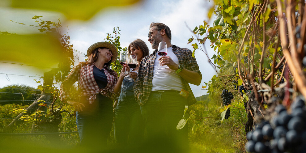 Strada del Vino e dei Sapori del Trentino