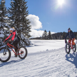 Fatbike a Passo Coe | © Apt Alpe Cimbra