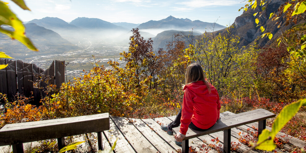 Dalla Terrazza Belvedere