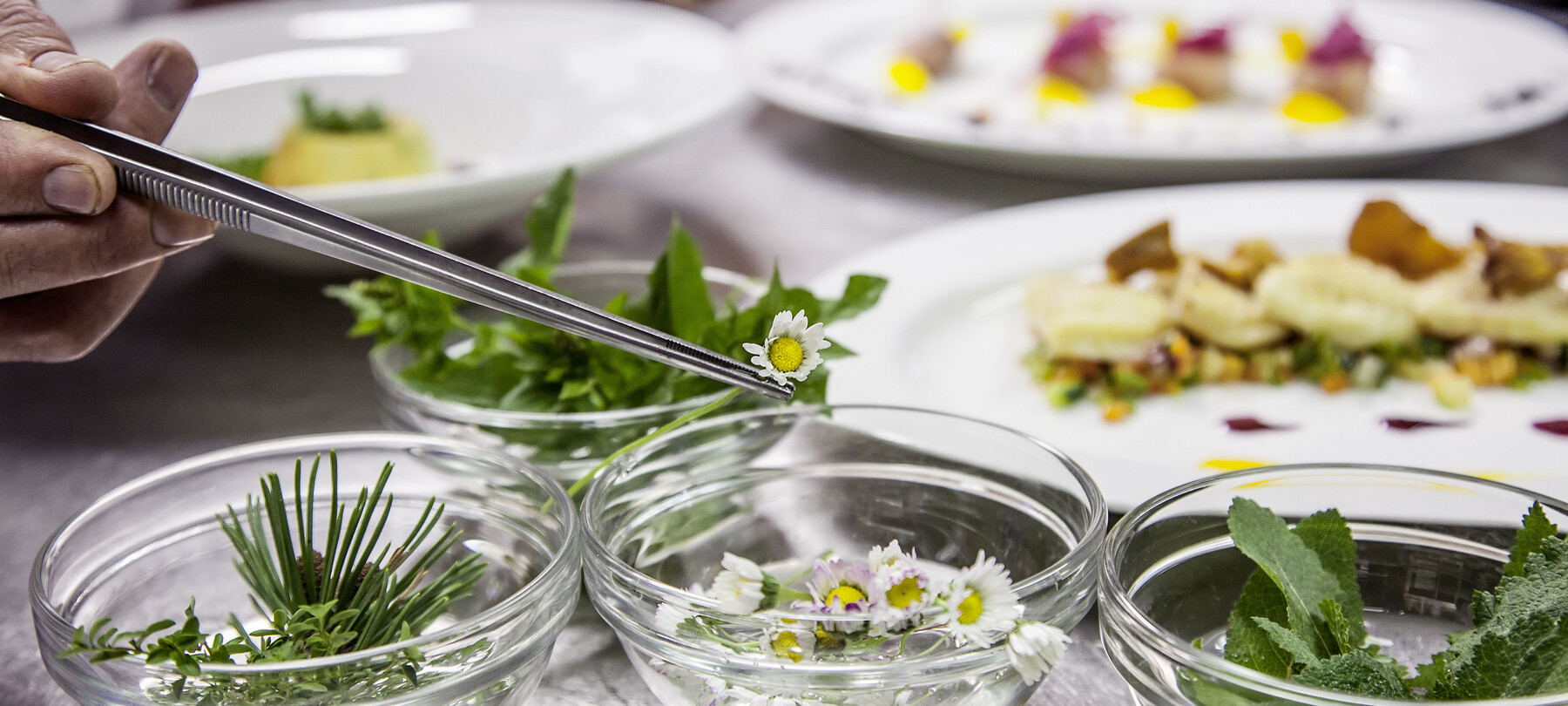 Trentino Food Tales: die Trentiner Gastronomie der Zukunft