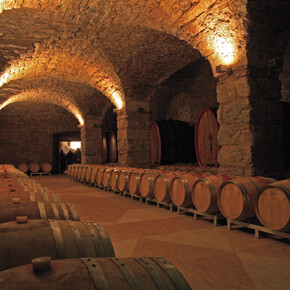 Sleeping in the cellar