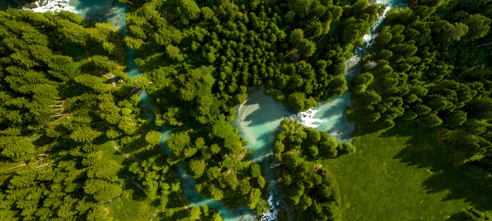 Appointment at the Park