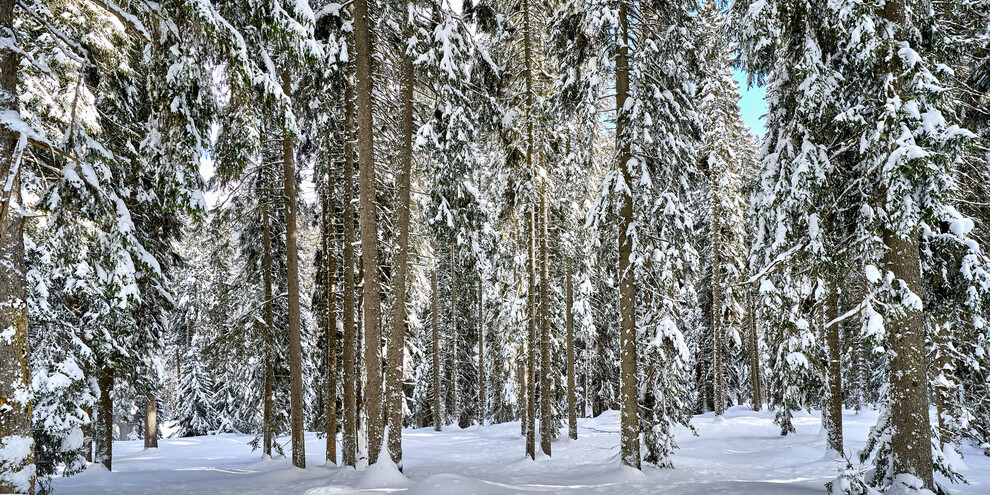 Wandern im Naturpark Adamello-Brenta